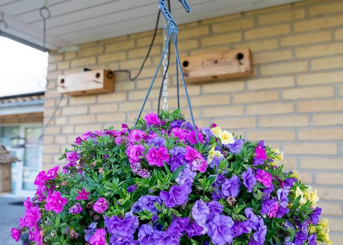 - Udsigten Bed & Breakfast 3*